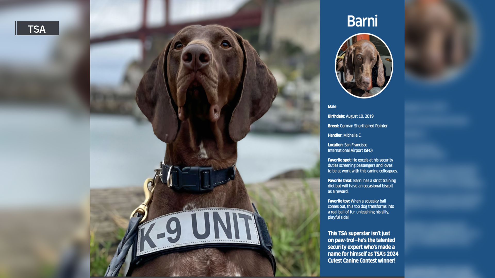 TSA revela su calendario de trabajadores caninos para 2025 Telemundo